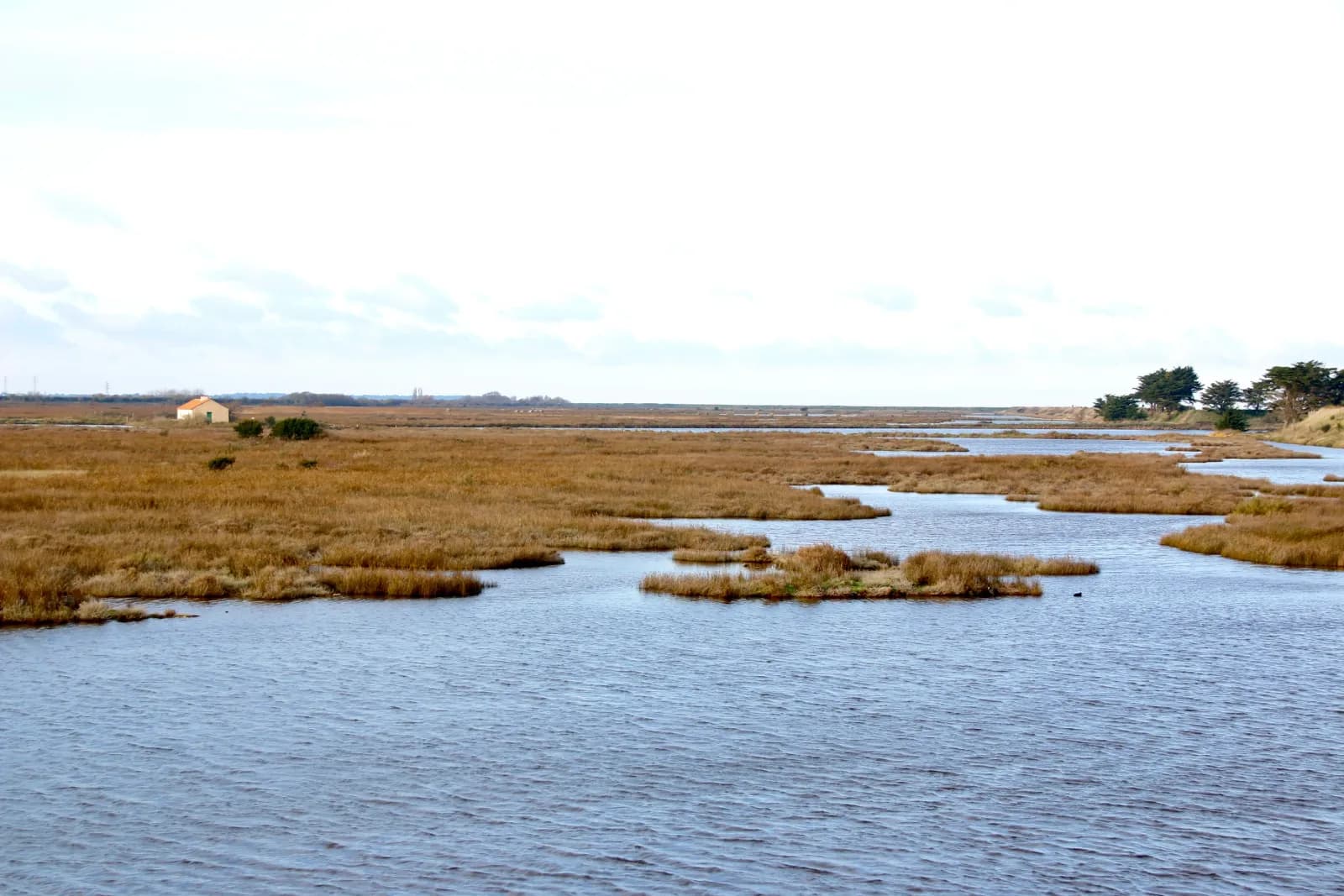 Tour de Noirmoutier