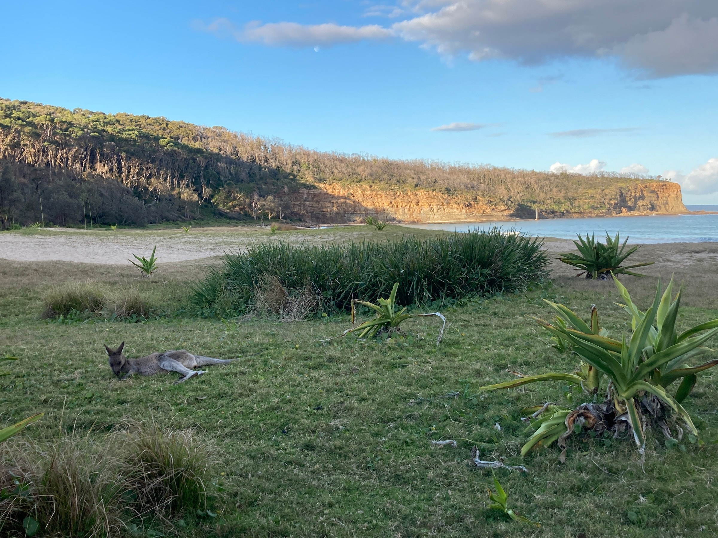 Murramarang South Coast Walk - photo 2