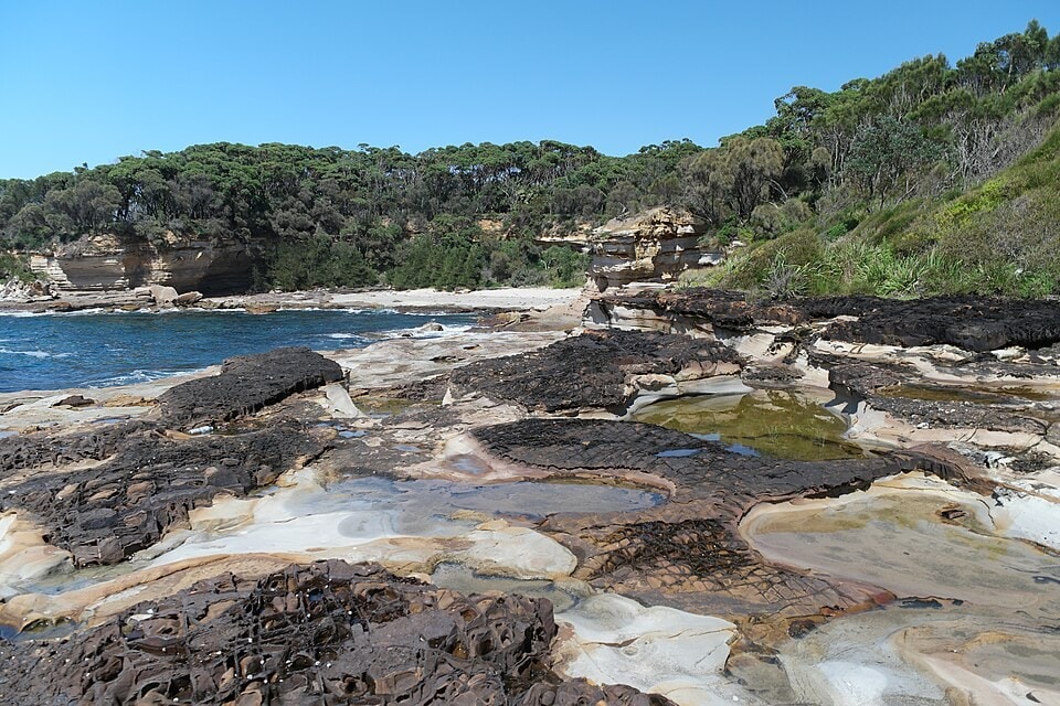 Murramarang South Coast Walk - photo 6