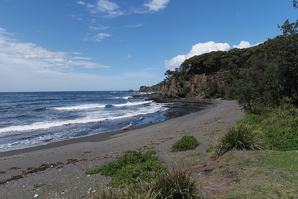 Murramarang South Coast Walk - photo 5