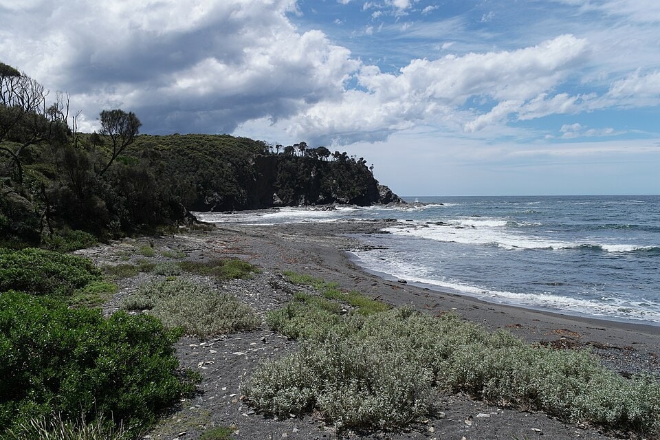 Murramarang South Coast Walk - photo 4