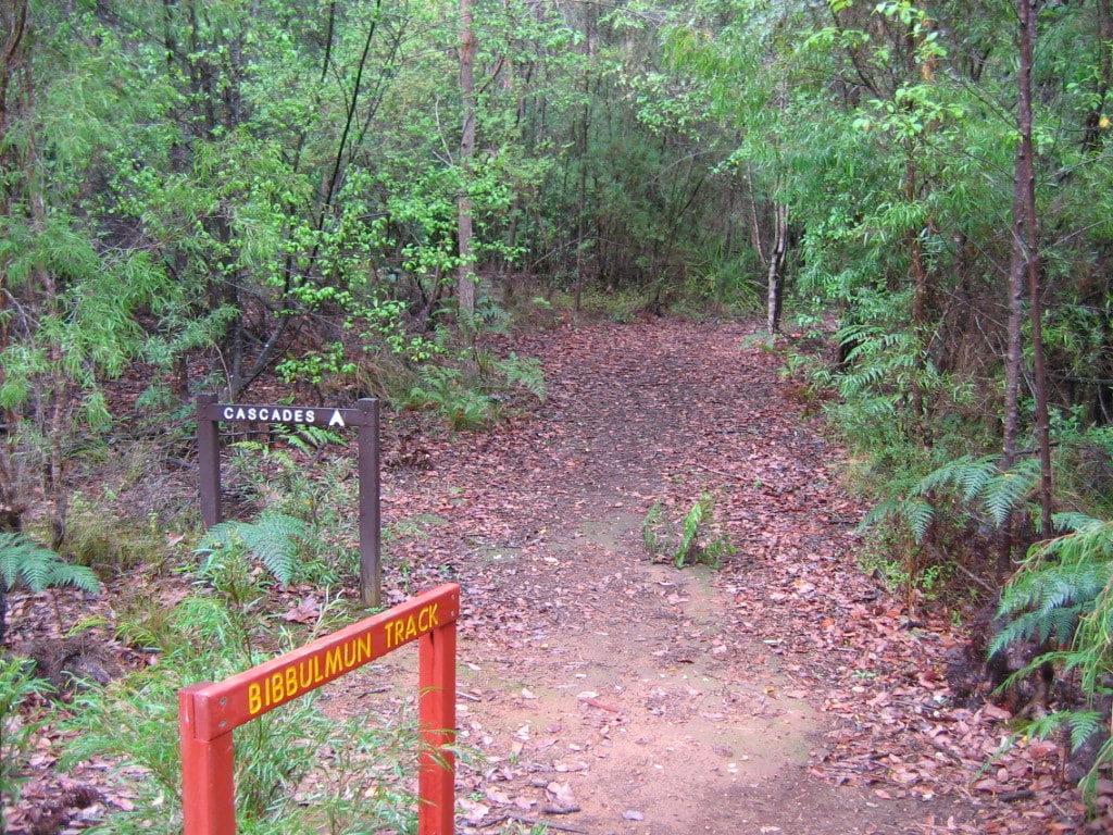 Bibbulmun Track: Pemberton To Northcliffe - photo 6