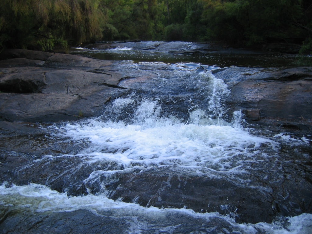 Bibbulmun Track: Pemberton To Northcliffe - photo 7