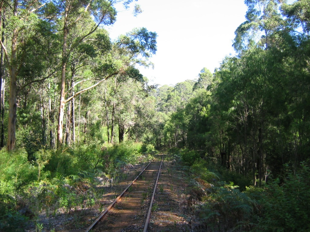 Bibbulmun Track: Pemberton To Northcliffe - photo 3