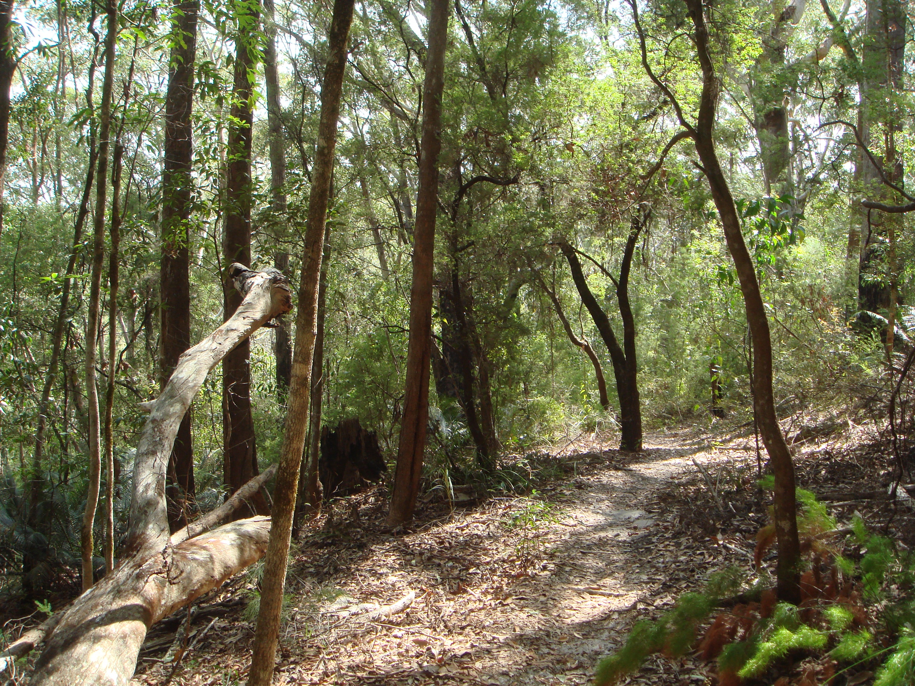 Kgari Great Walk - photo 4