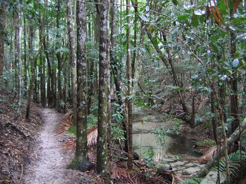 Kgari Great Walk - photo 9