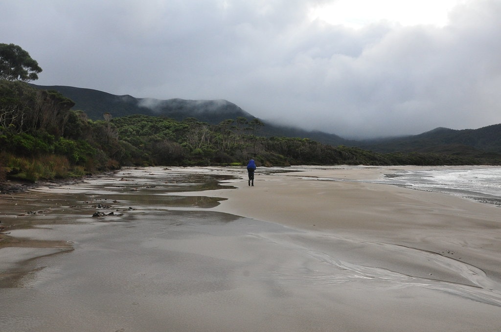 South Coast Track - photo 13