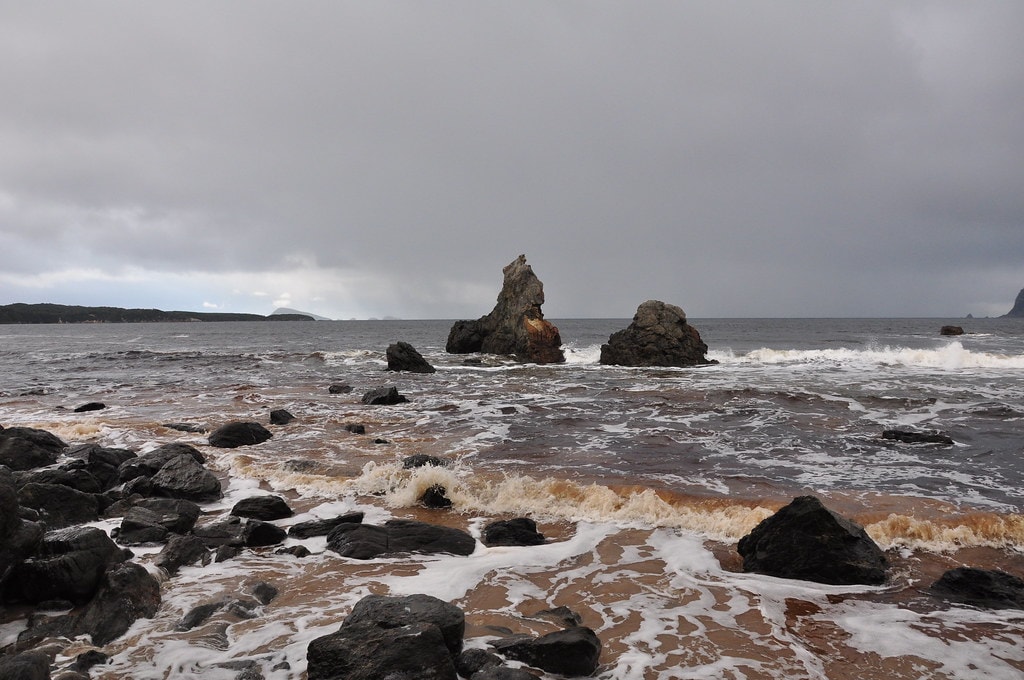 South Coast Track - photo 6