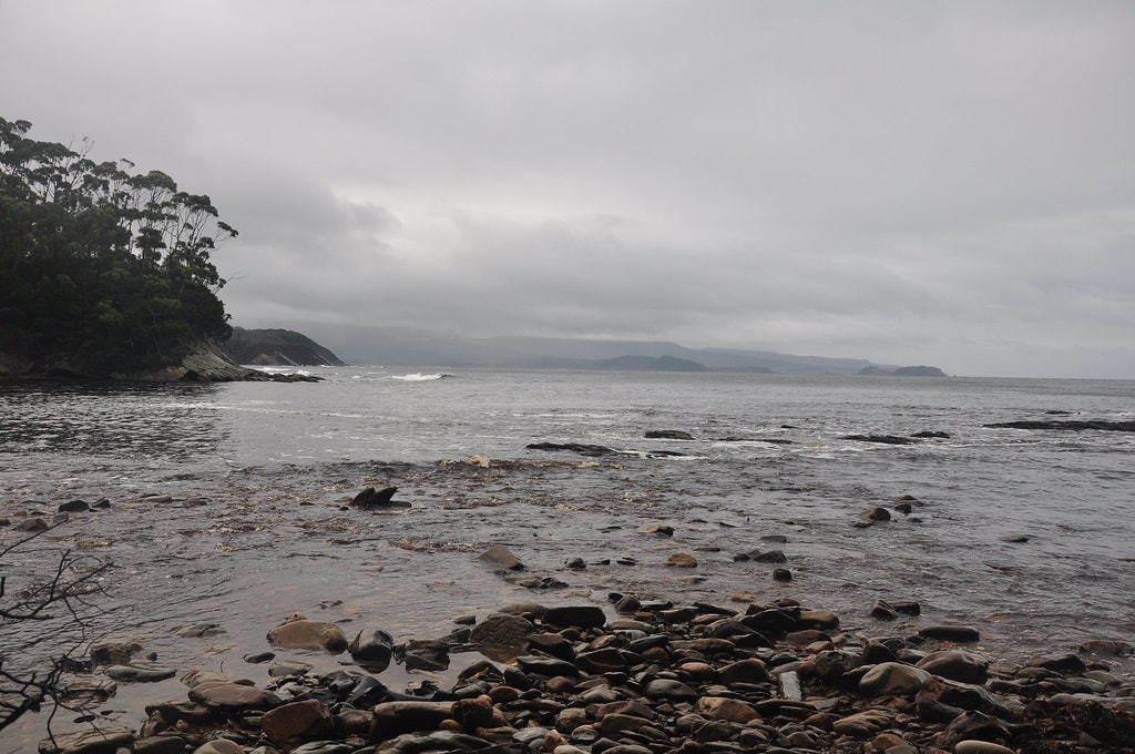 South Coast Track - photo 9