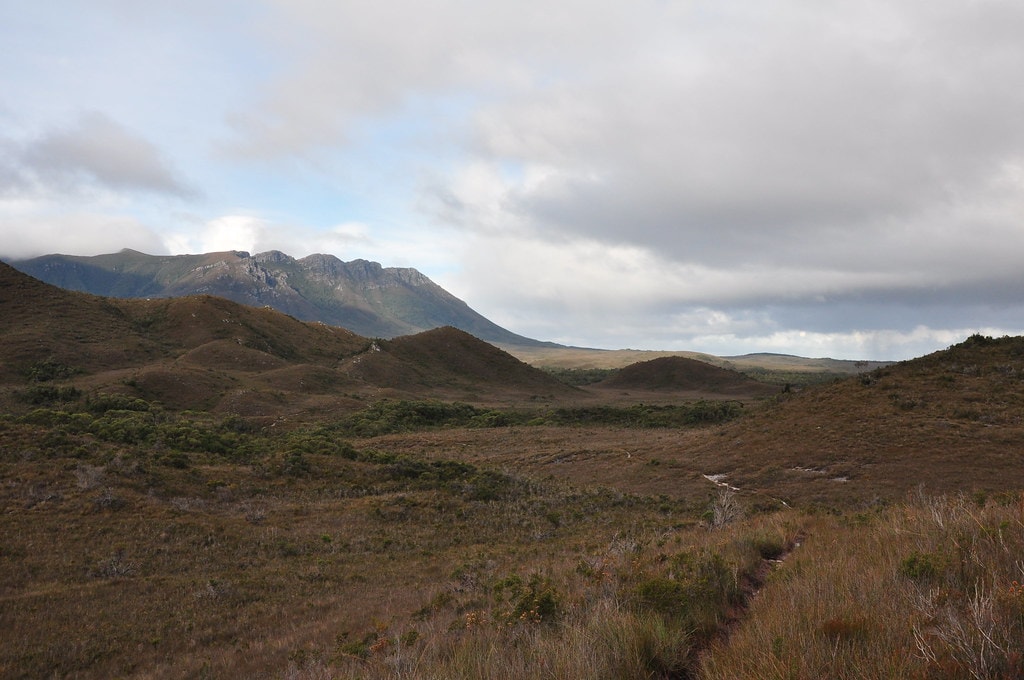 South Coast Track - photo 3