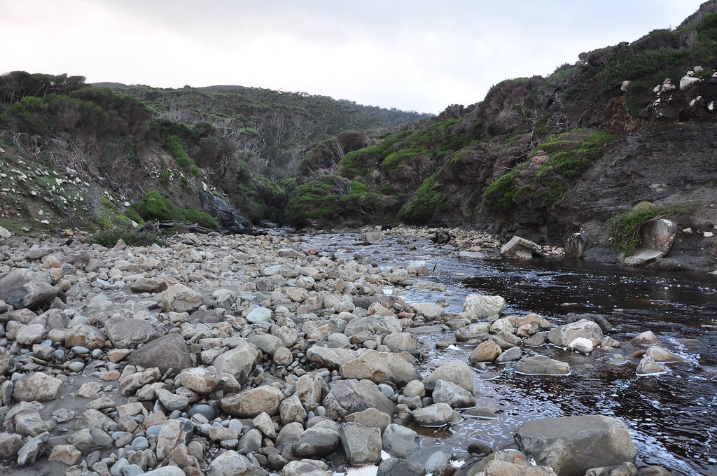 South Coast Track - photo 12
