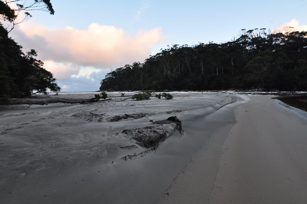 South Coast Track - photo 11