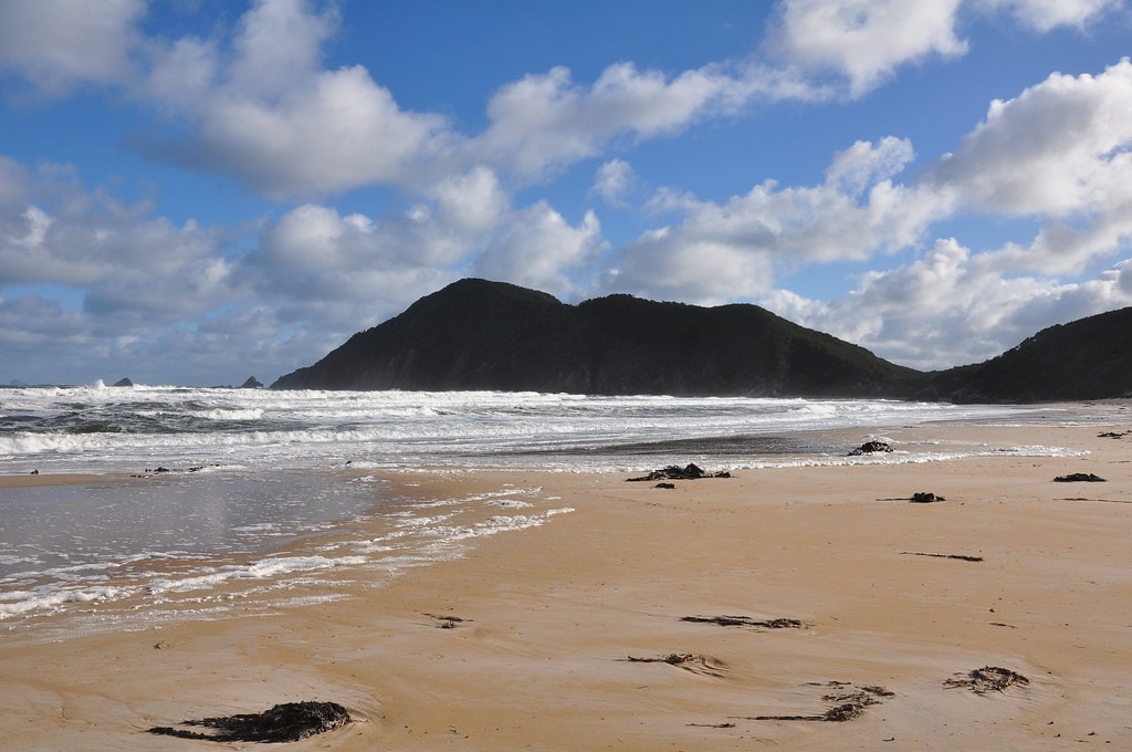 South Coast Track - photo 7