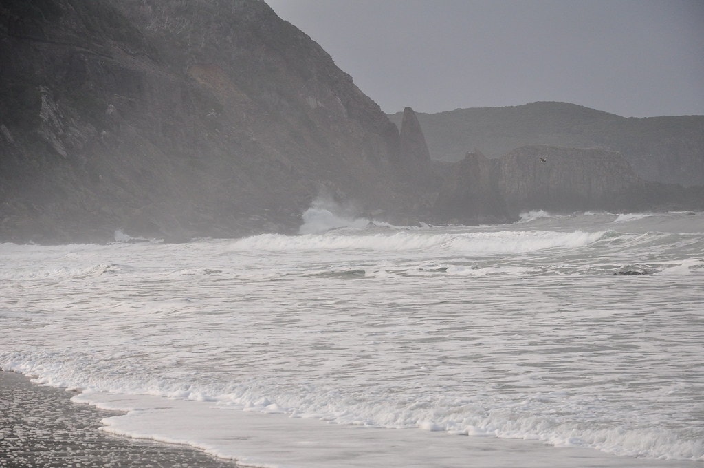 South Coast Track - photo 10