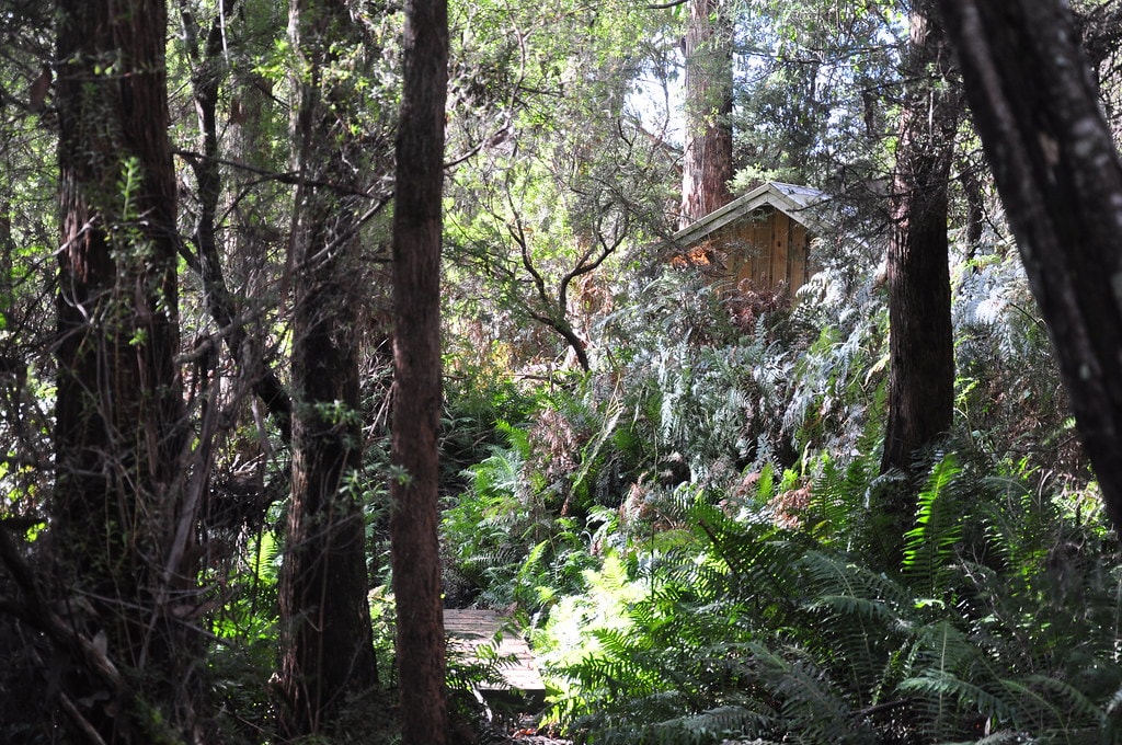 South Coast Track - photo 14