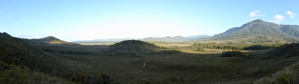 South Coast Track - photo 8