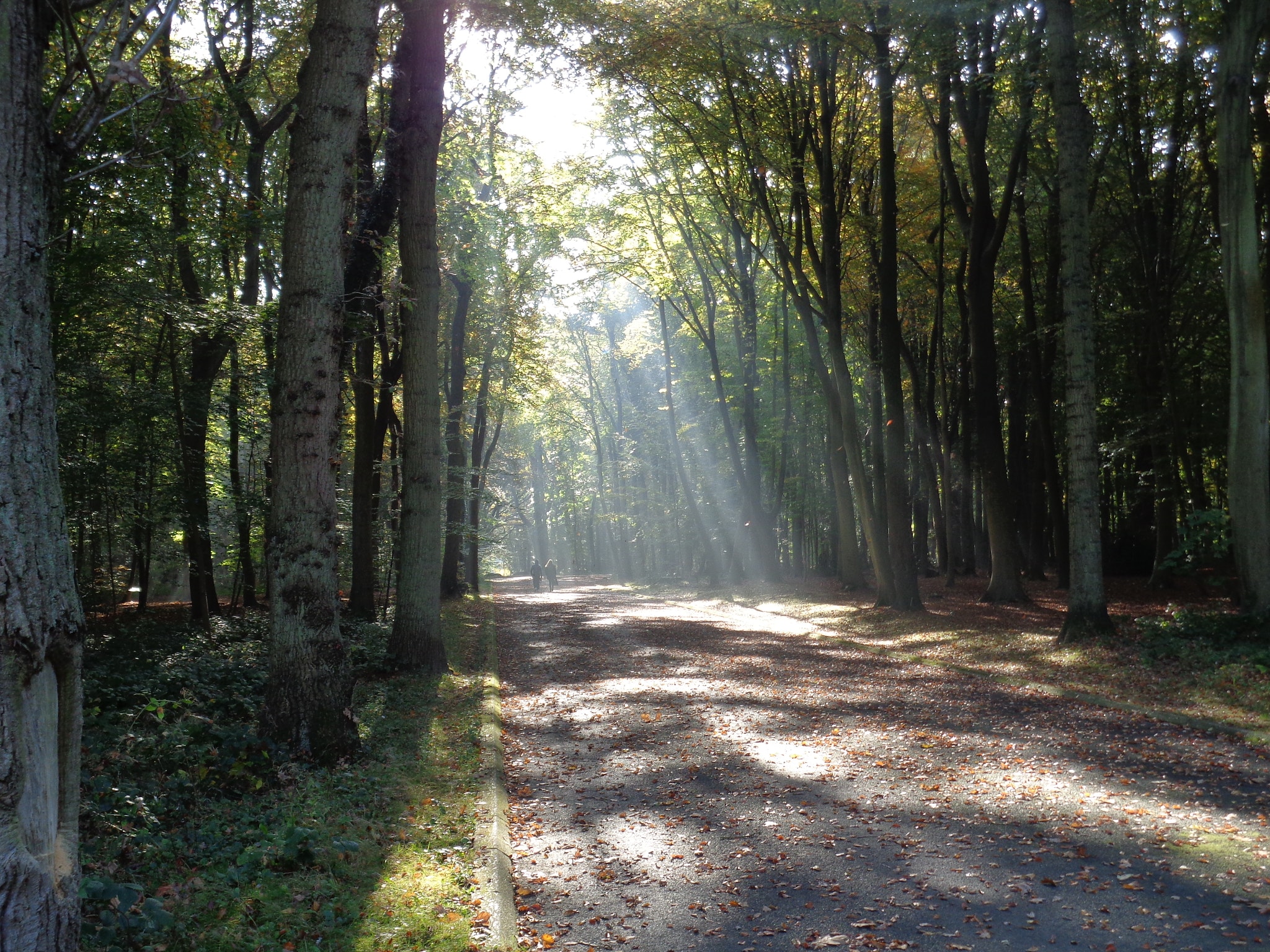 GR21 Sentier des Falaises - photo 2