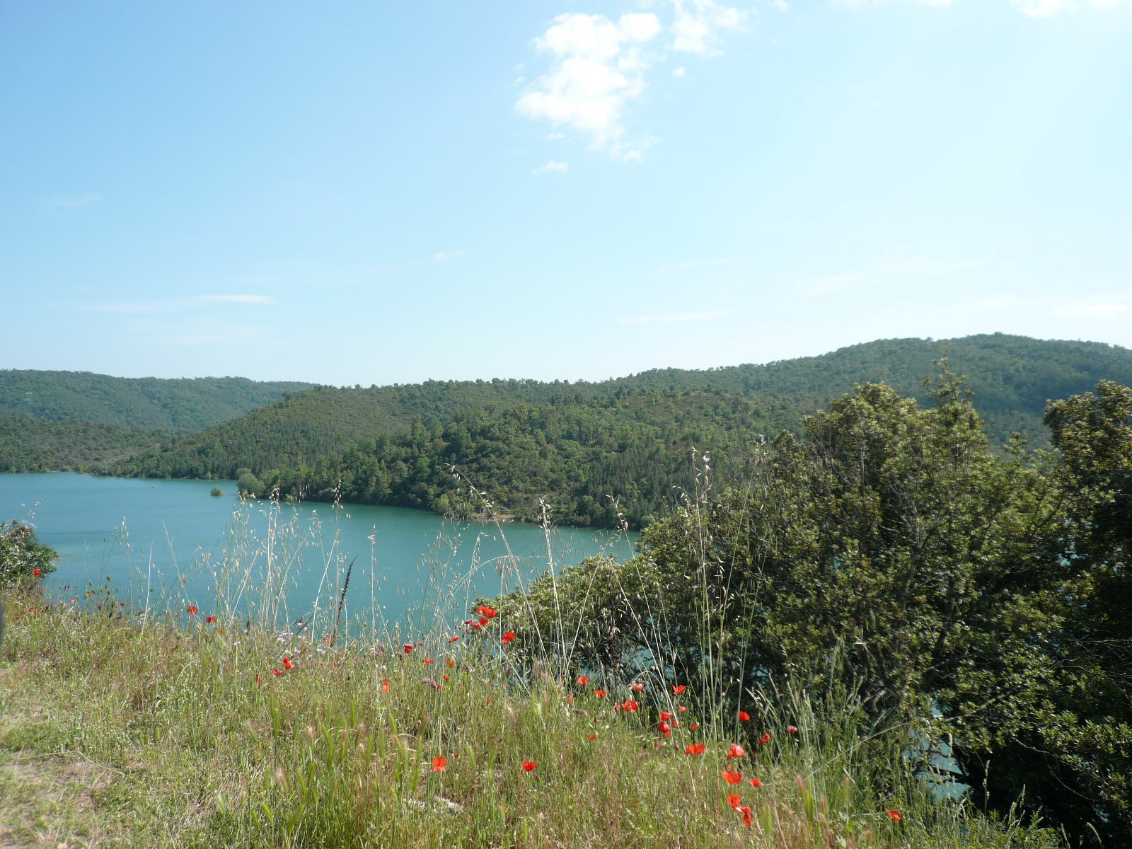 GR49 De Saint Raphaël à Rougon - photo 6