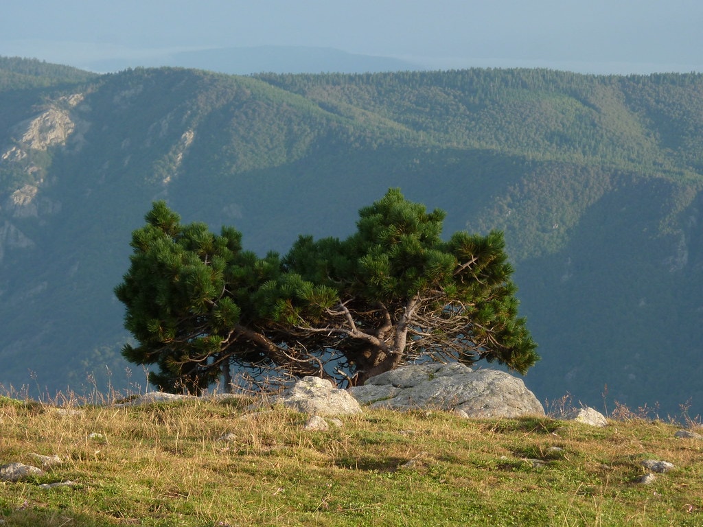 GR66 Tour du Mont Aigoual - photo 3
