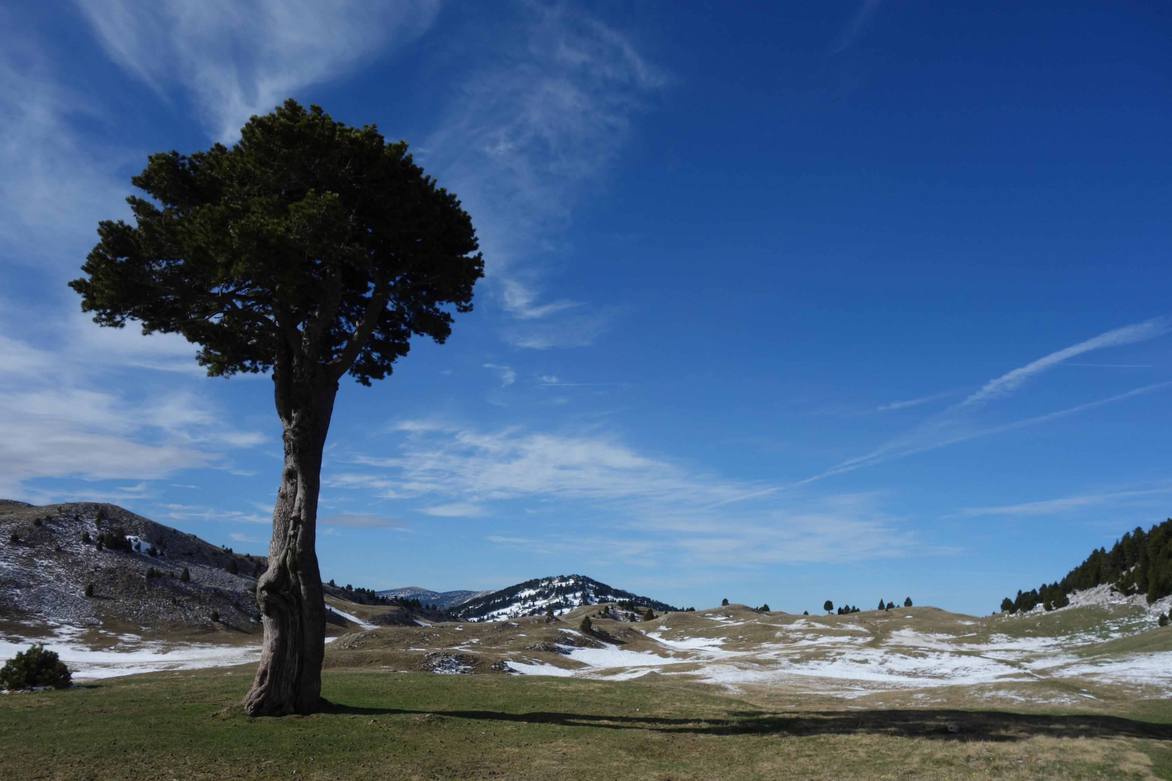 GR93 – Traversée Est-Ouest du Vercors - photo 6