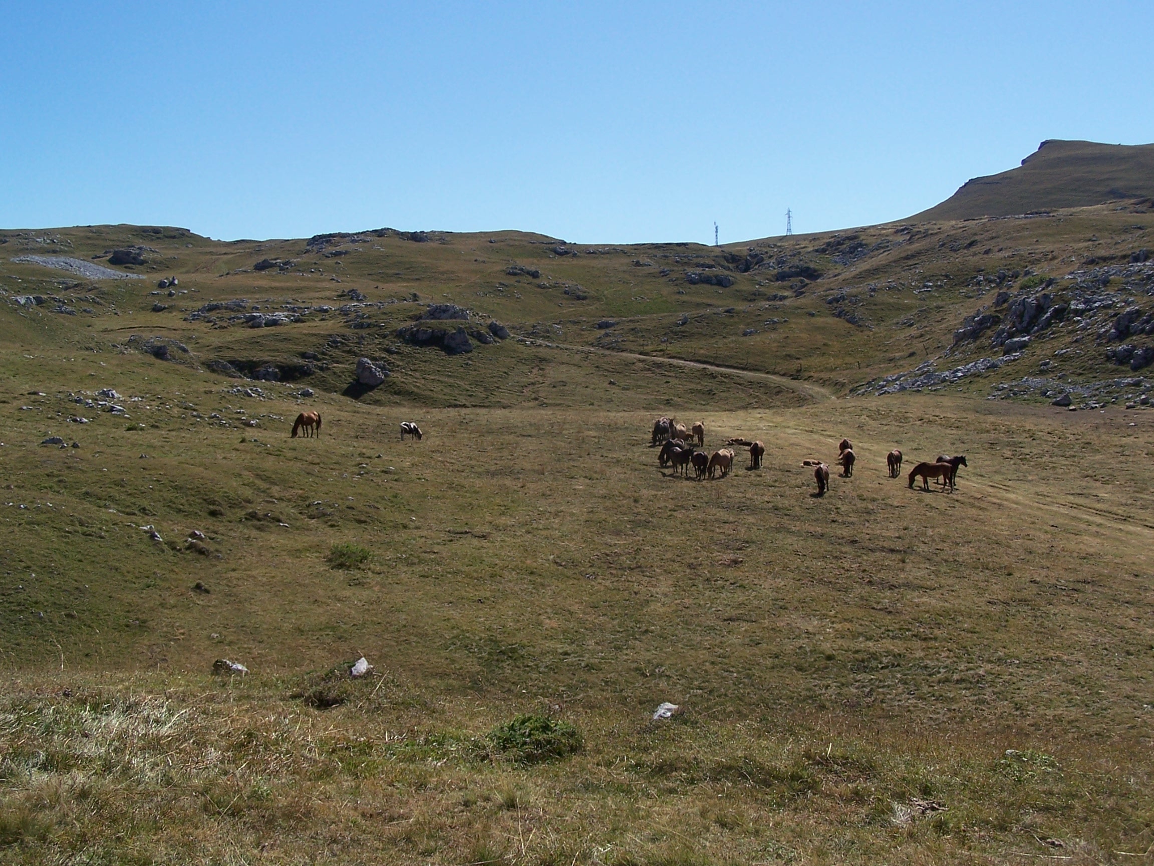GR93 – Traversée Est-Ouest du Vercors - photo 4
