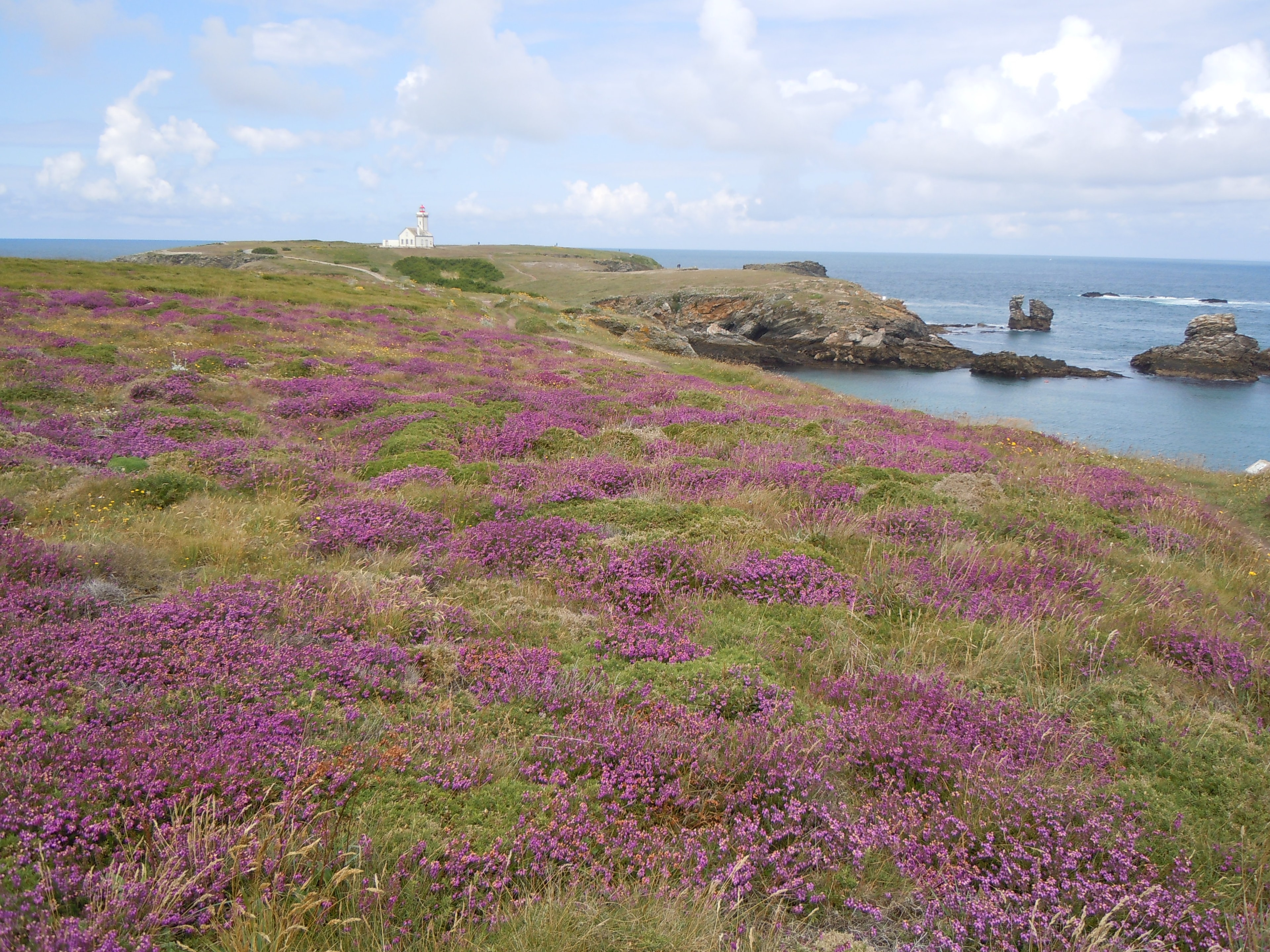 GR340 Tour de Belle-Ile-en-Mer - photo 5
