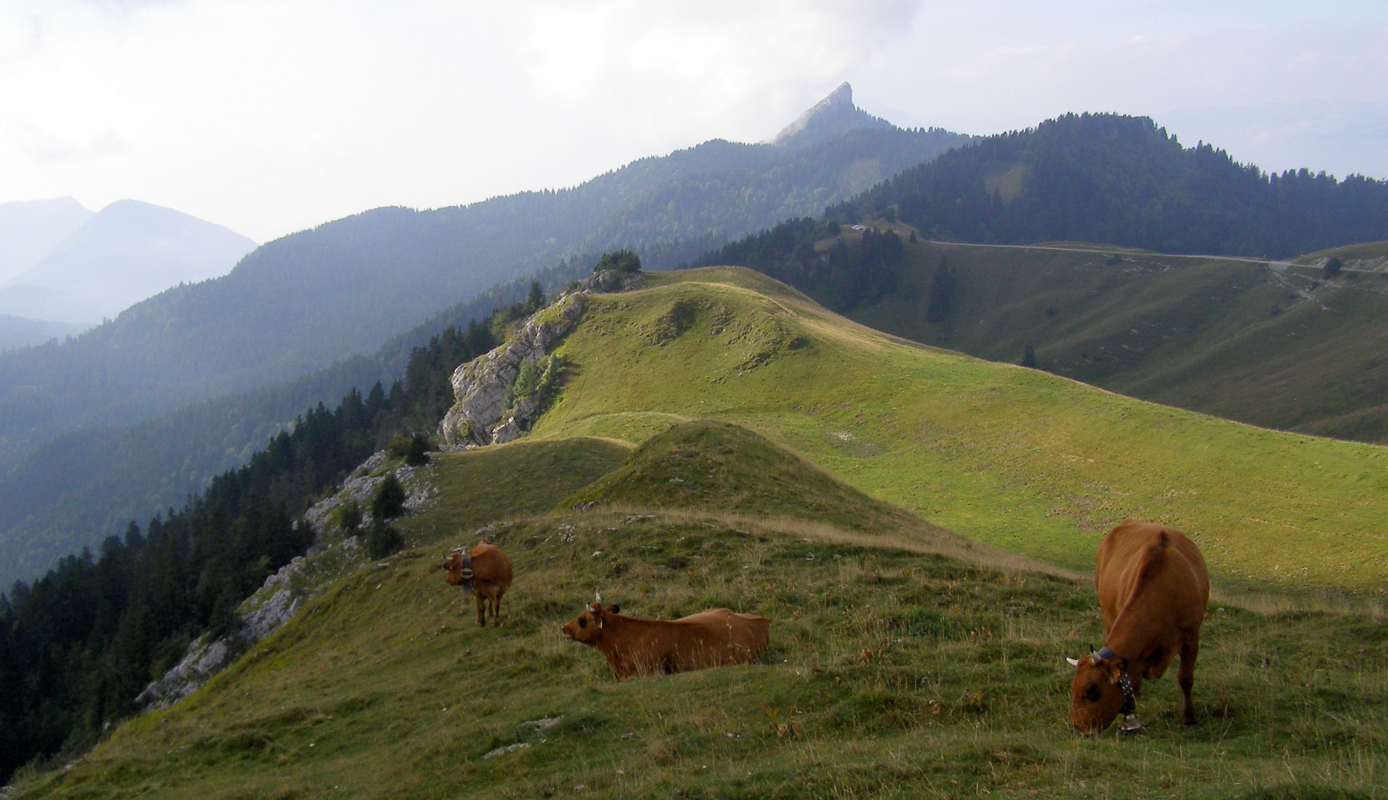 Grande Traversée de Chartreuse - photo 5