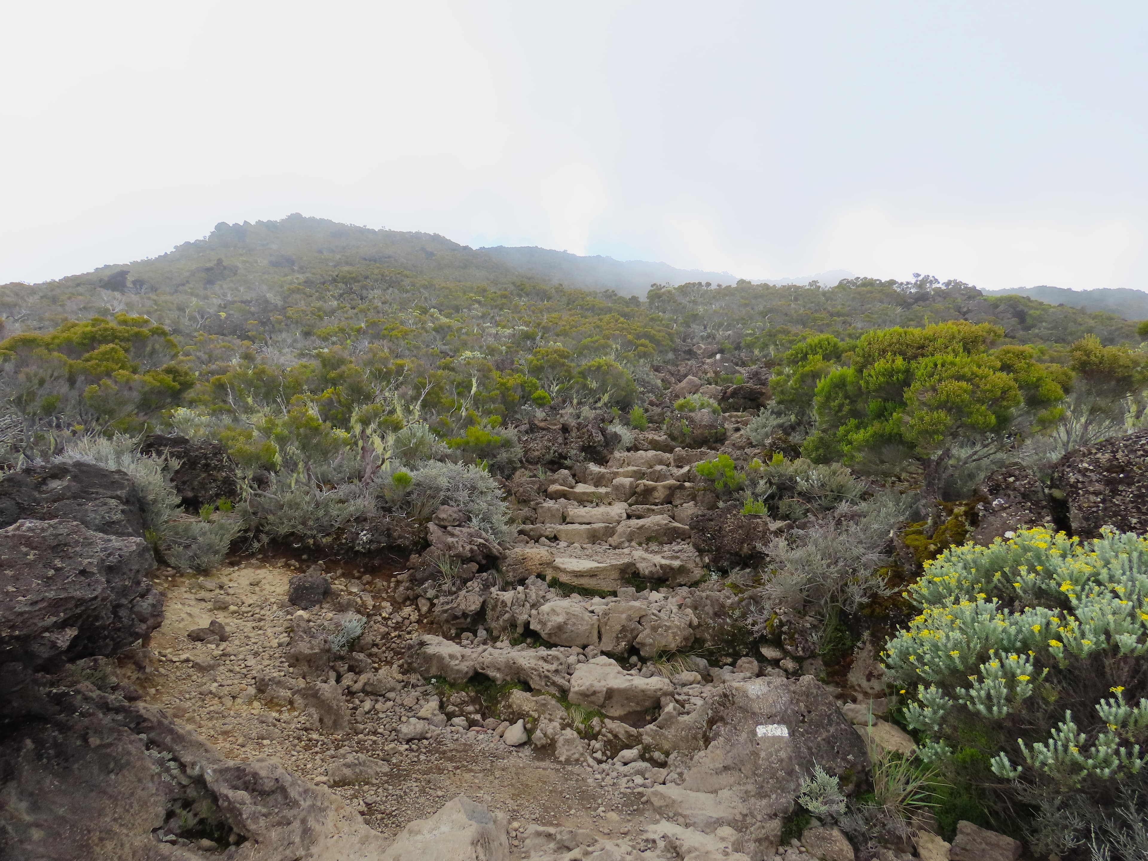 GRR1 Tour du Piton des Neiges