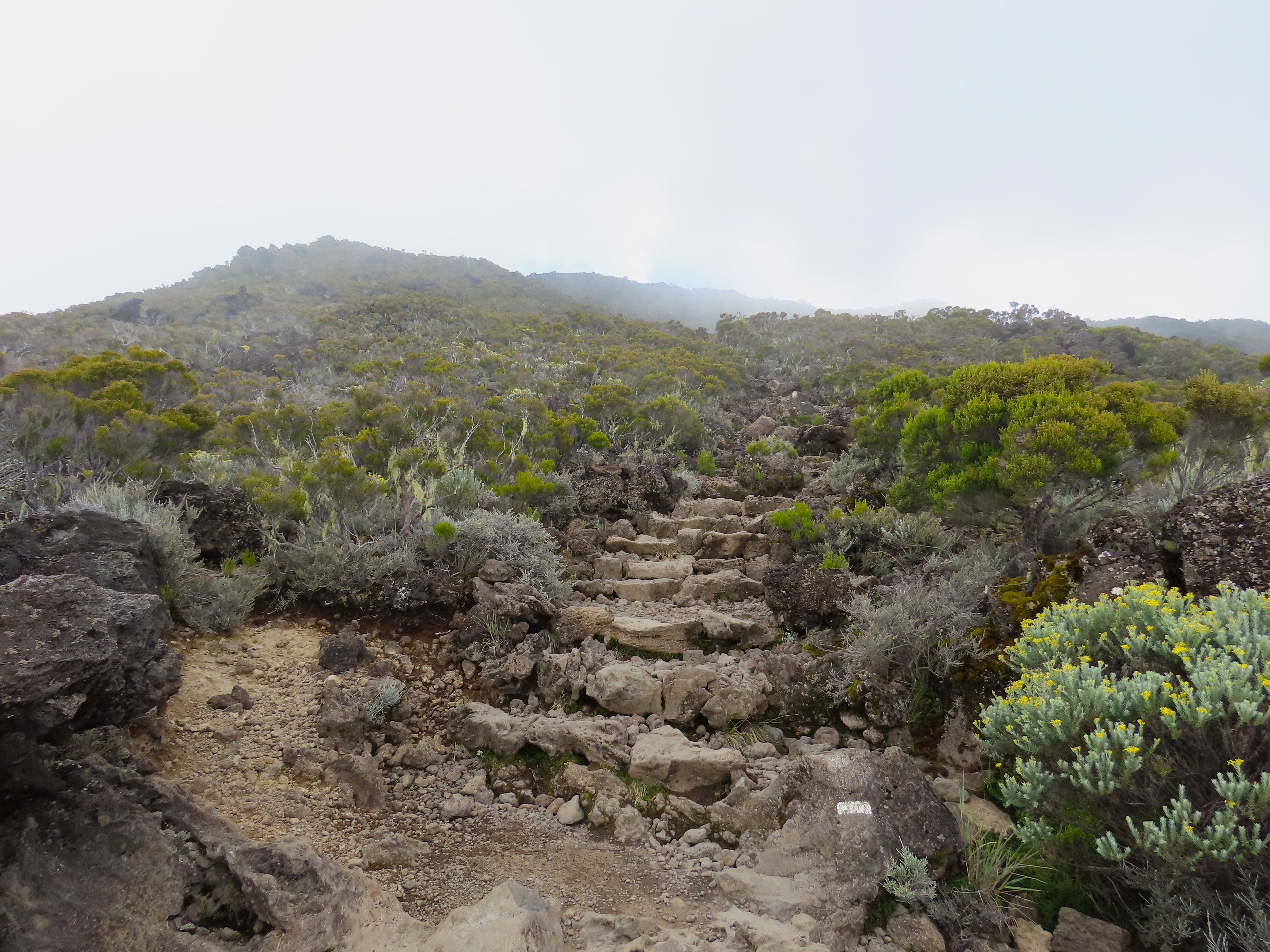 GRR1 Tour du Piton des Neiges - photo 1