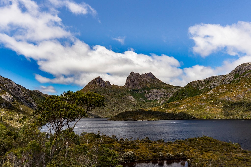 Overland Track - photo 11