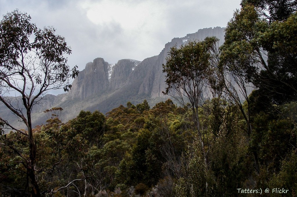 Overland Track - photo 4