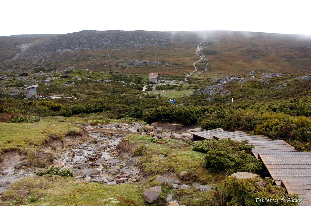 Overland Track - photo 7
