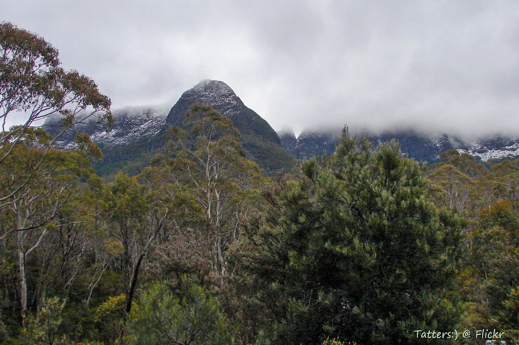 Overland Track - photo 6