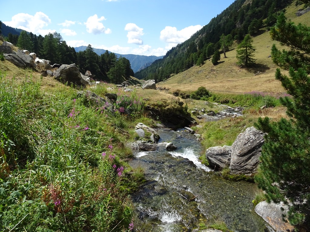 Tour Du Mont Viso - photo 7