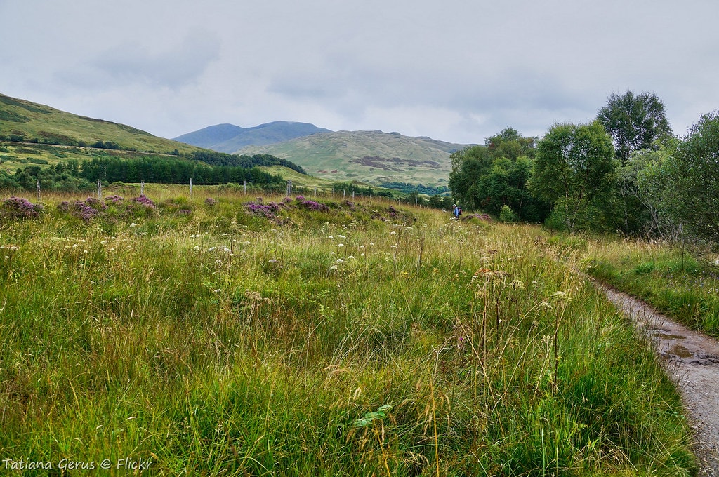 West Highland Way - photo 7