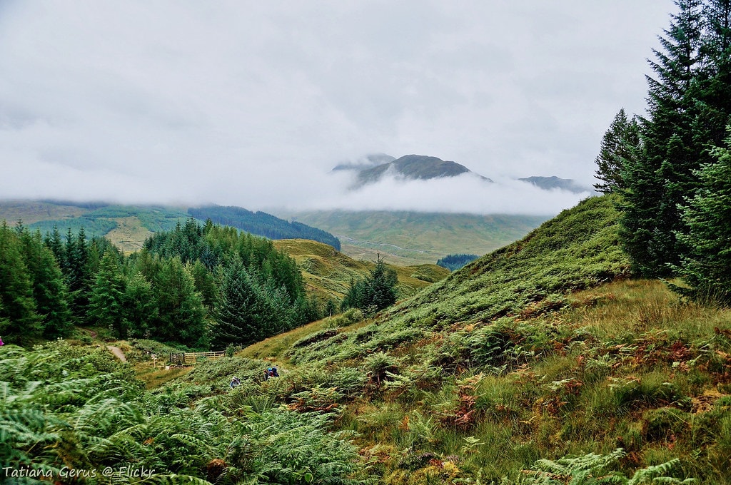 West Highland Way - photo 4