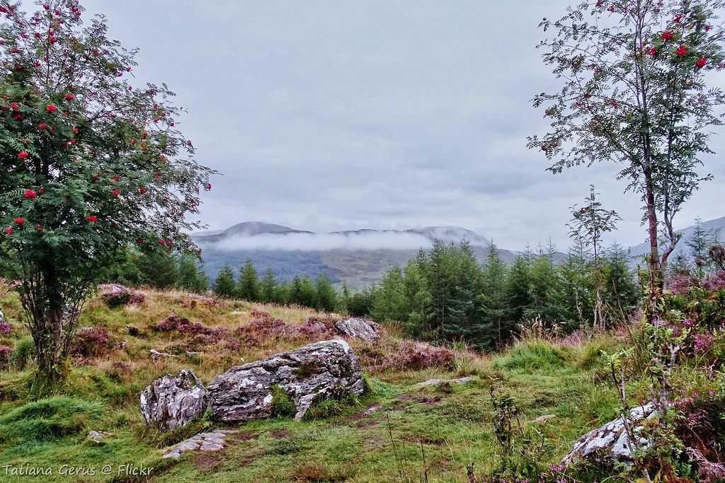 West Highland Way - photo 6