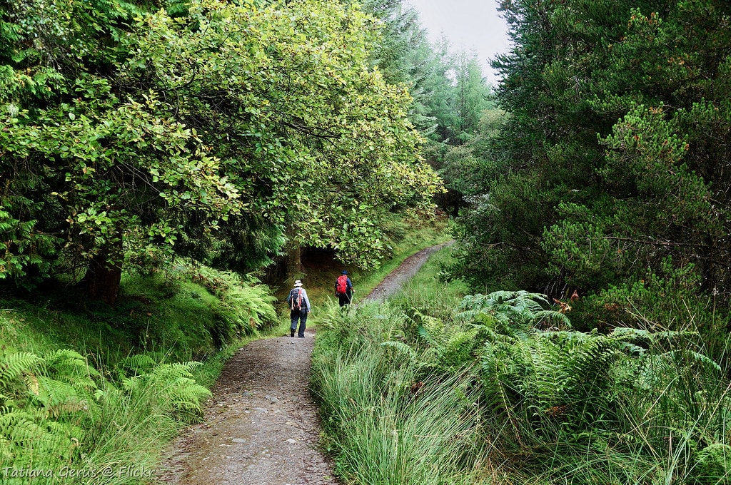 West Highland Way - photo 9