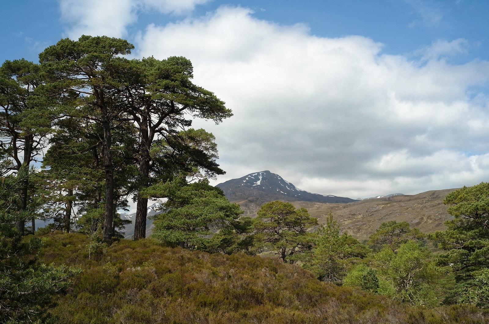 Affric Kintail Way - photo 4