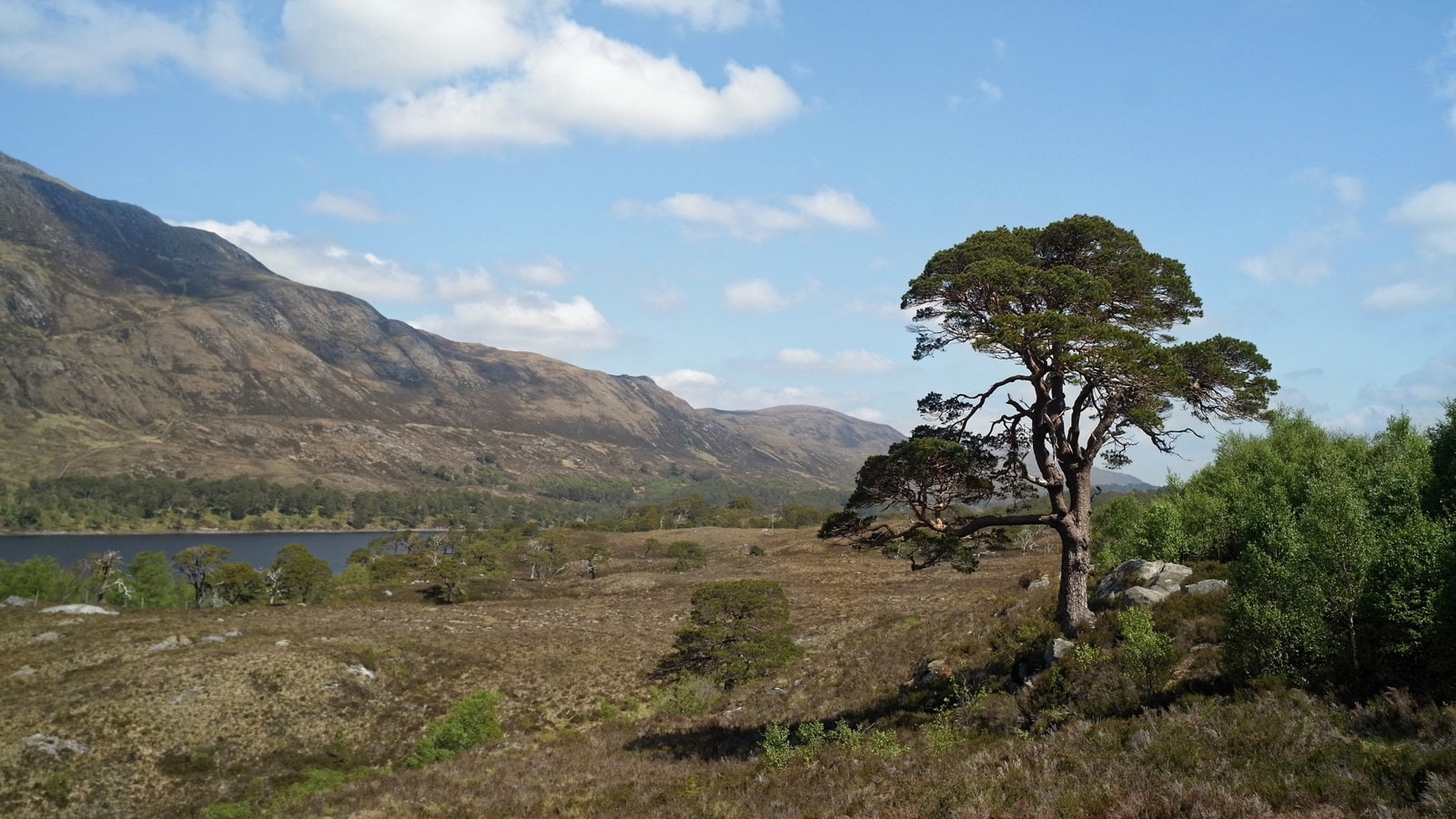 Affric Kintail Way - photo 3