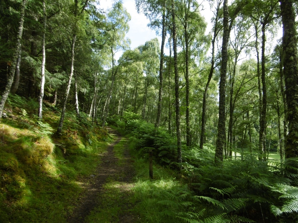 Affric Kintail Way - photo 7