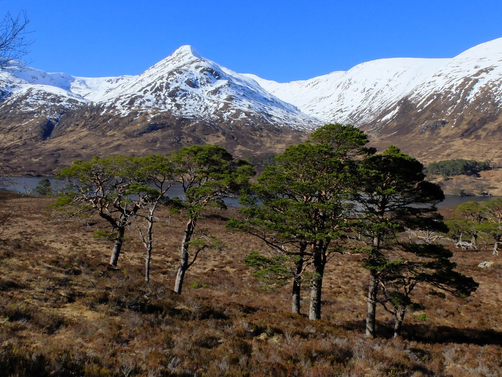 Affric Kintail Way - photo 10