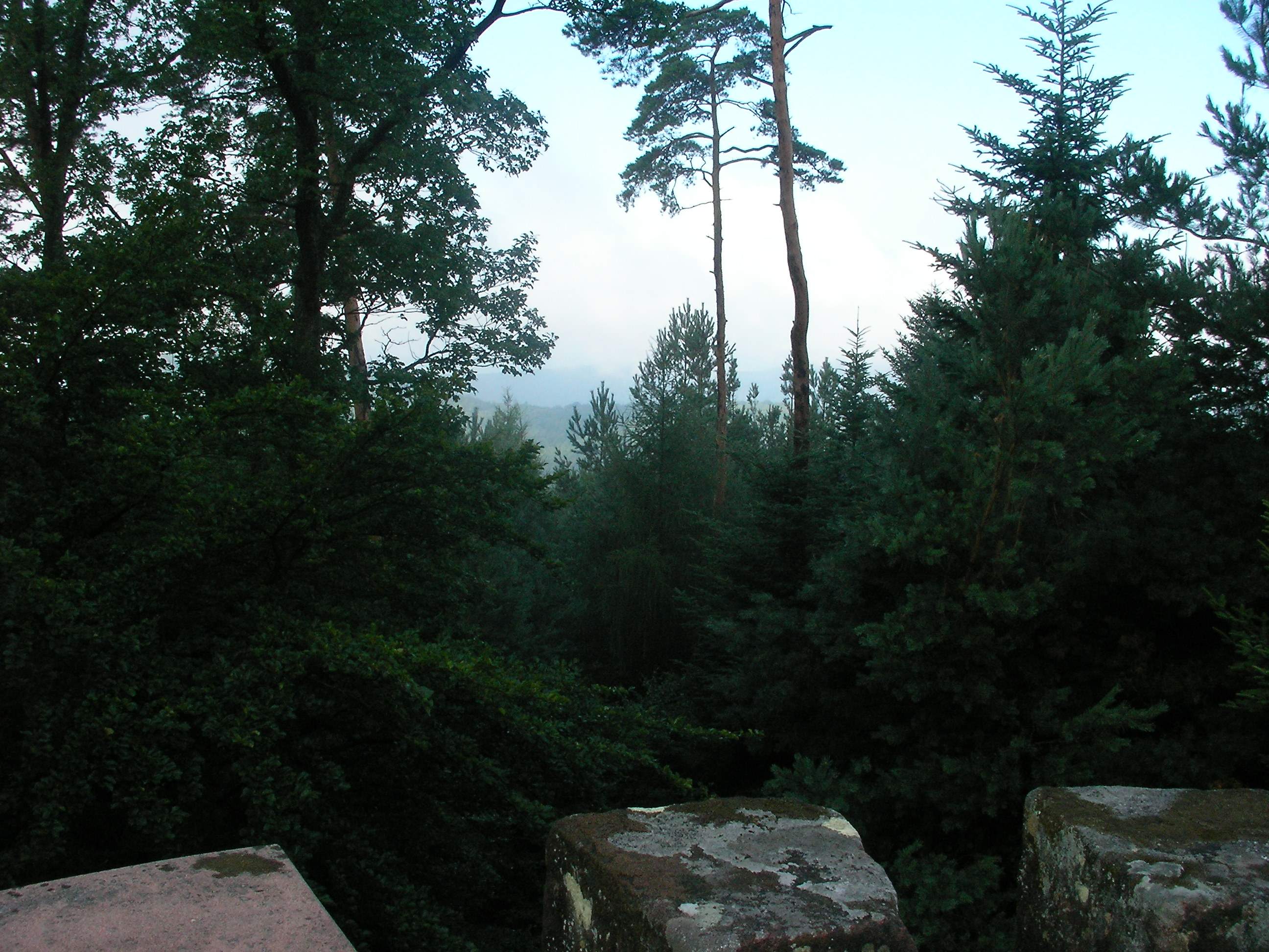 Traversée des Vosges du Nord - photo 2