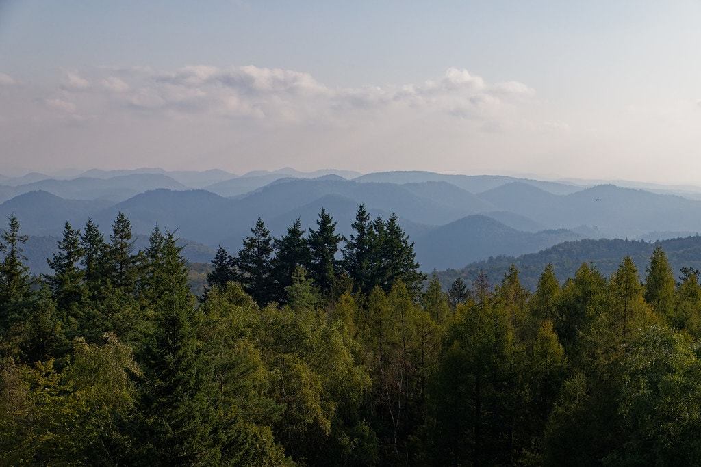 Traversée des Vosges du Nord - photo 1
