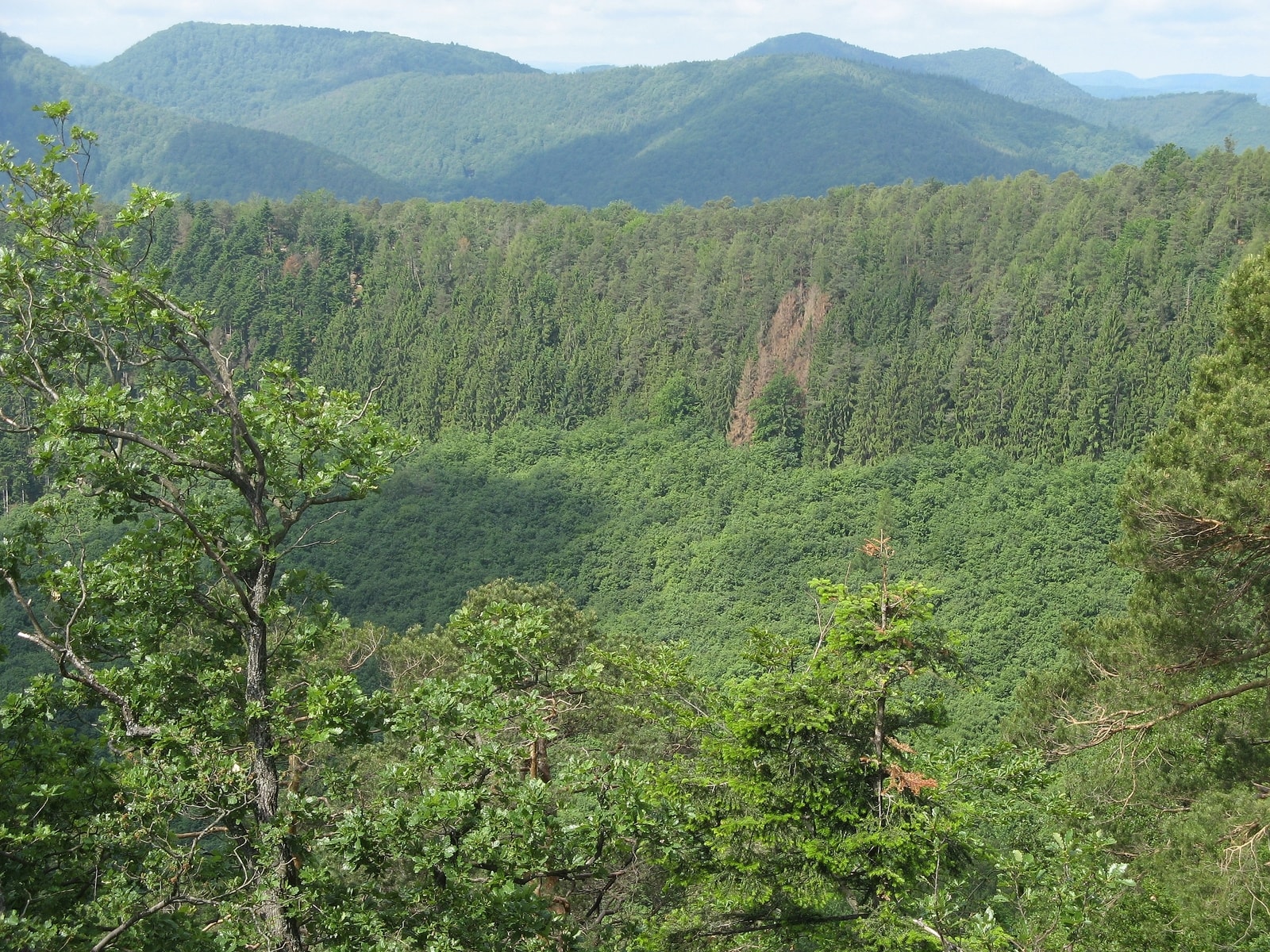 Traversée des Vosges du Nord - photo 5