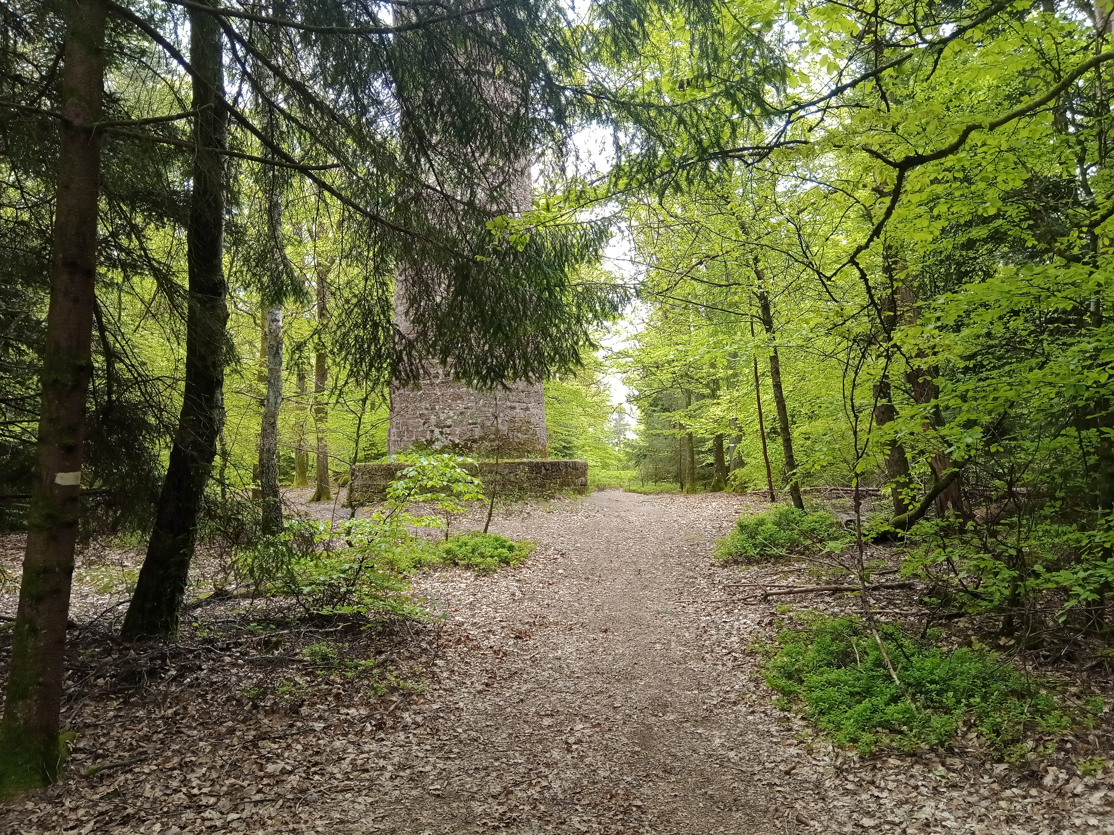 Traversée des Vosges du Nord - photo 3