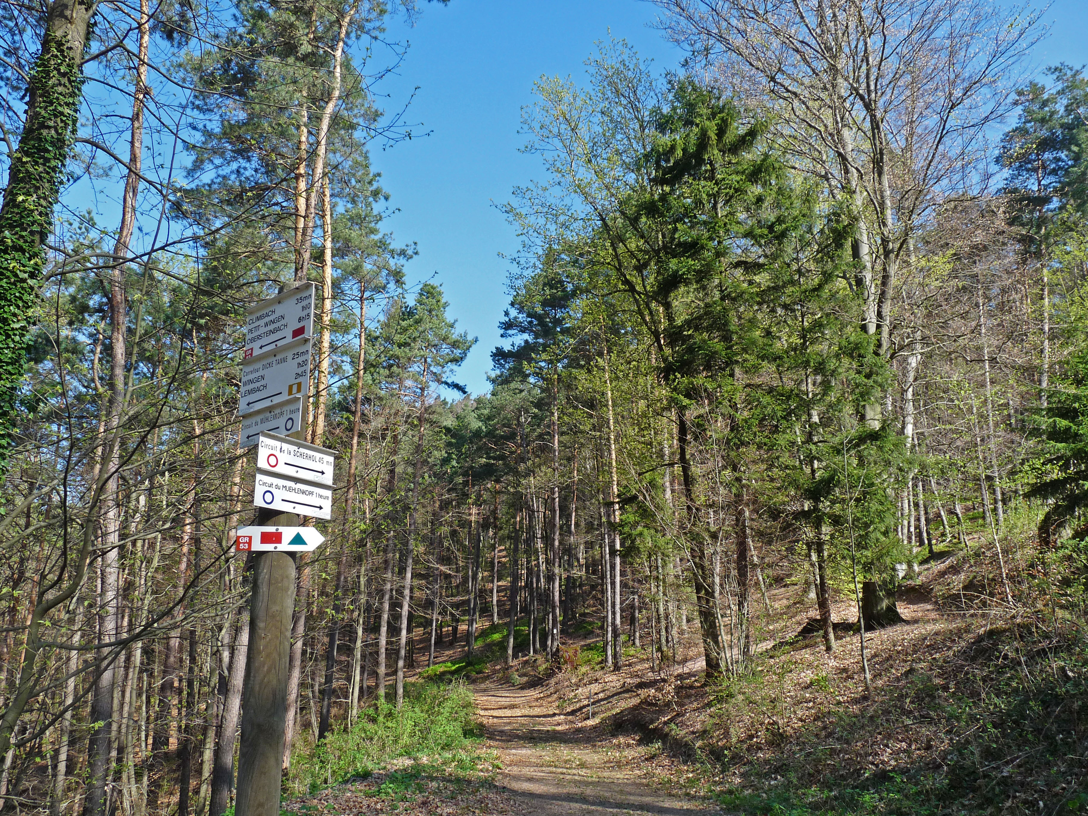 Traversée des Vosges du Nord - photo 6