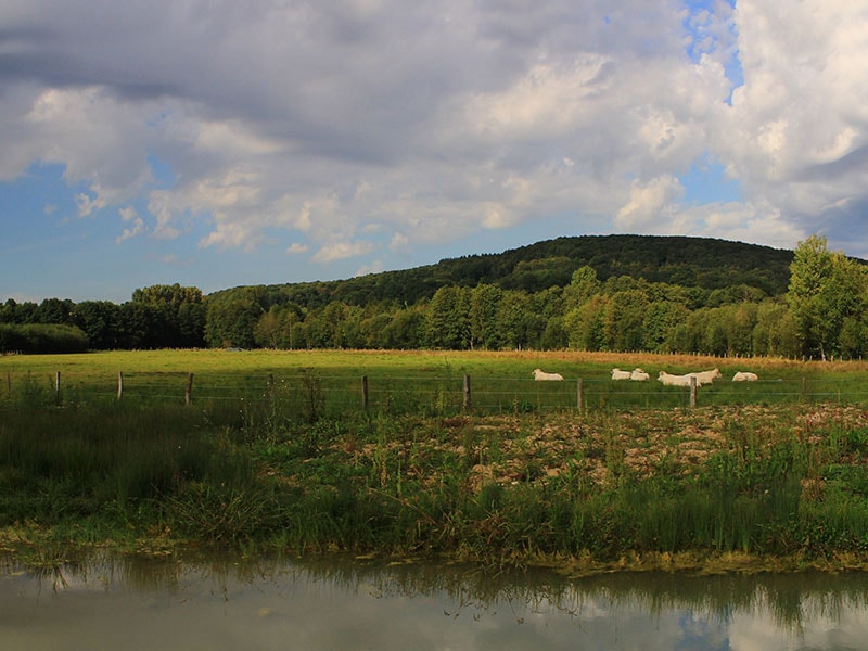Les Collines du Perche - photo 5