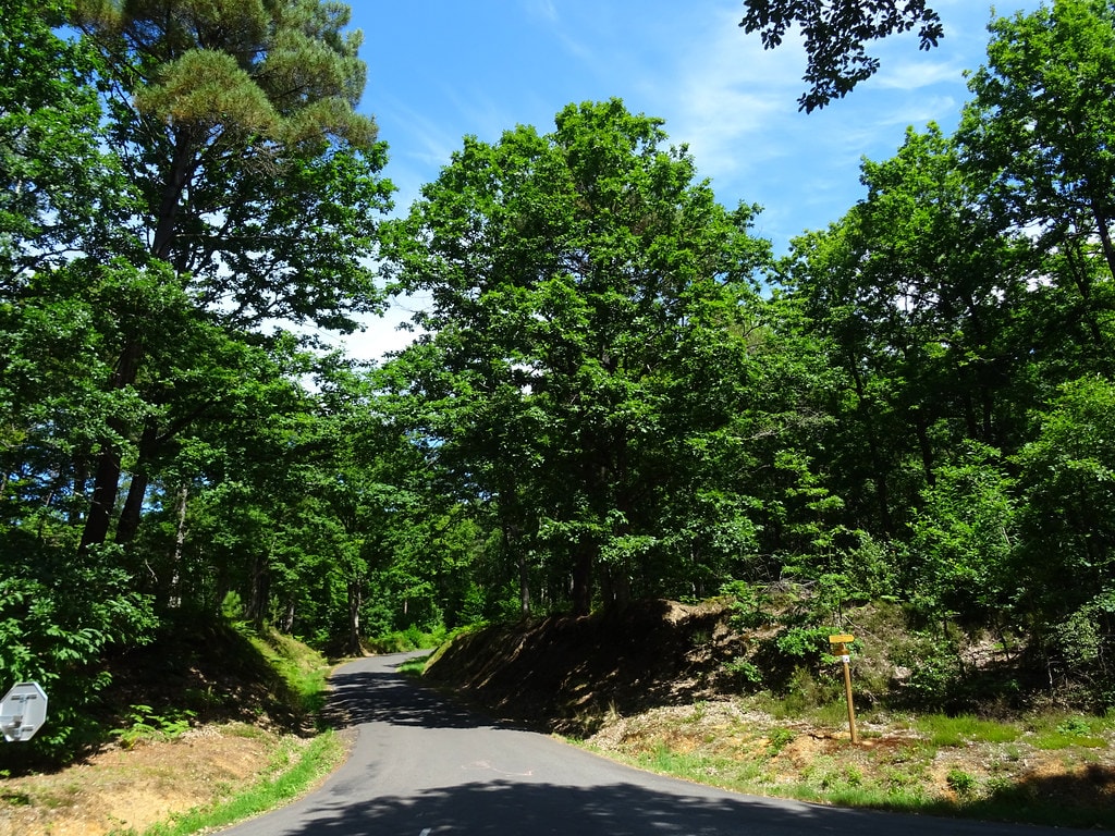 Les Collines du Perche - photo 2