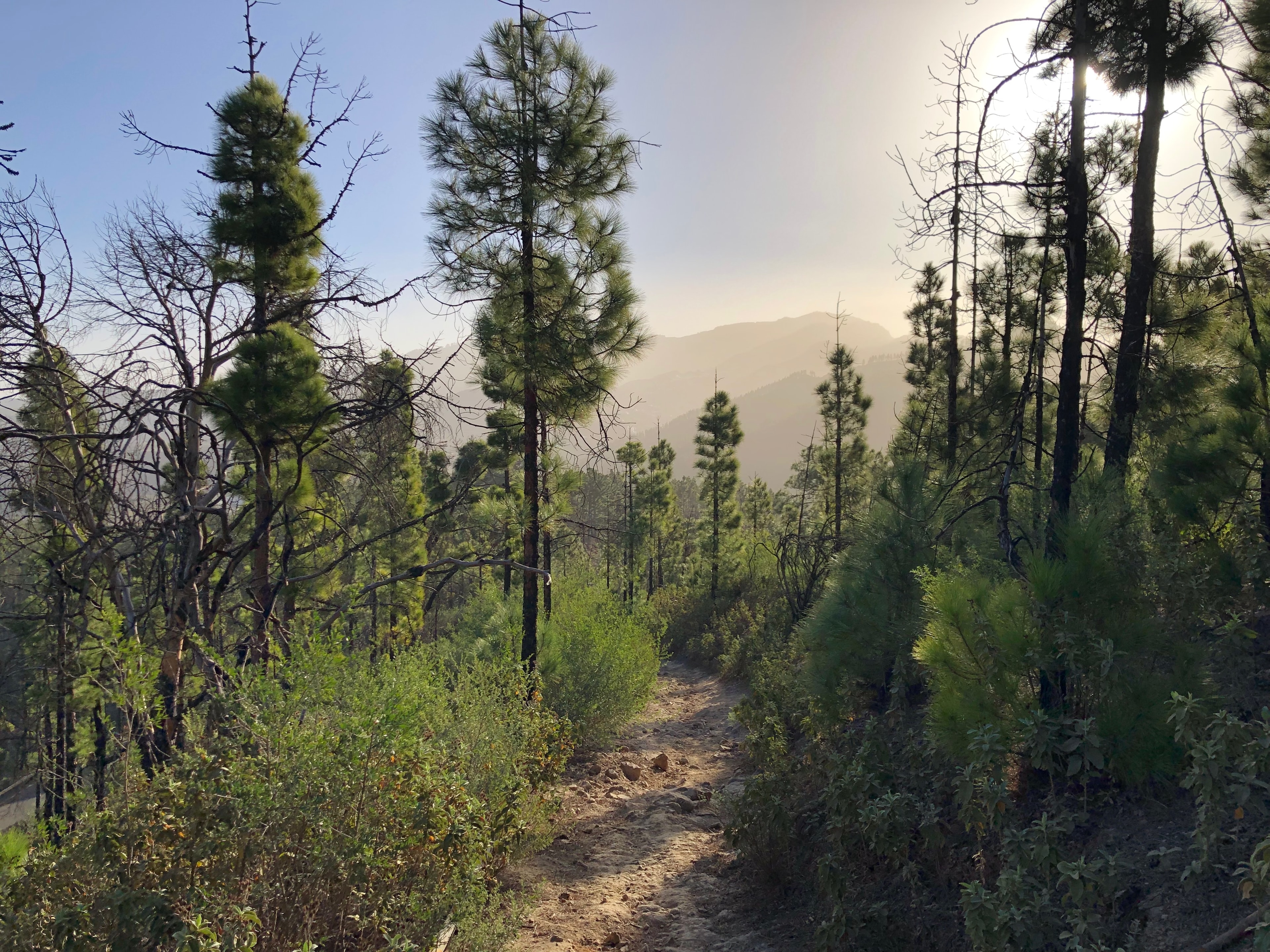 Gran Canaria Traverse - photo 10
